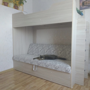 Кровать двухъярусная с диваном (Беленый дуб) в Кудряшовском - kudryashovskij.mebel54.com | фото