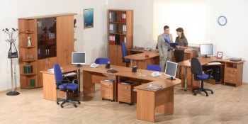 Мебель для персонала Альфа 61 Ольха в Кудряшовском - kudryashovskij.mebel54.com | фото